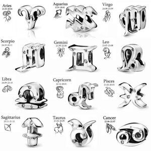Sterling Silver Sparkling Astrology Zodiac Charm